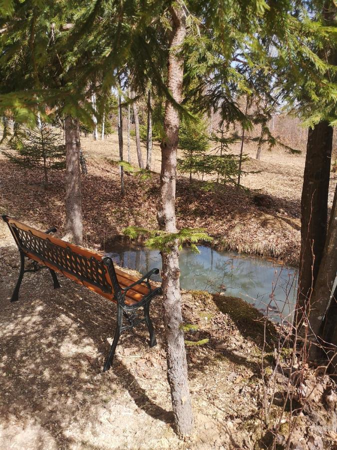 Hotel Medve Dome - Luxury Camping In The Middle Of Nature Vlahita Exteriér fotografie