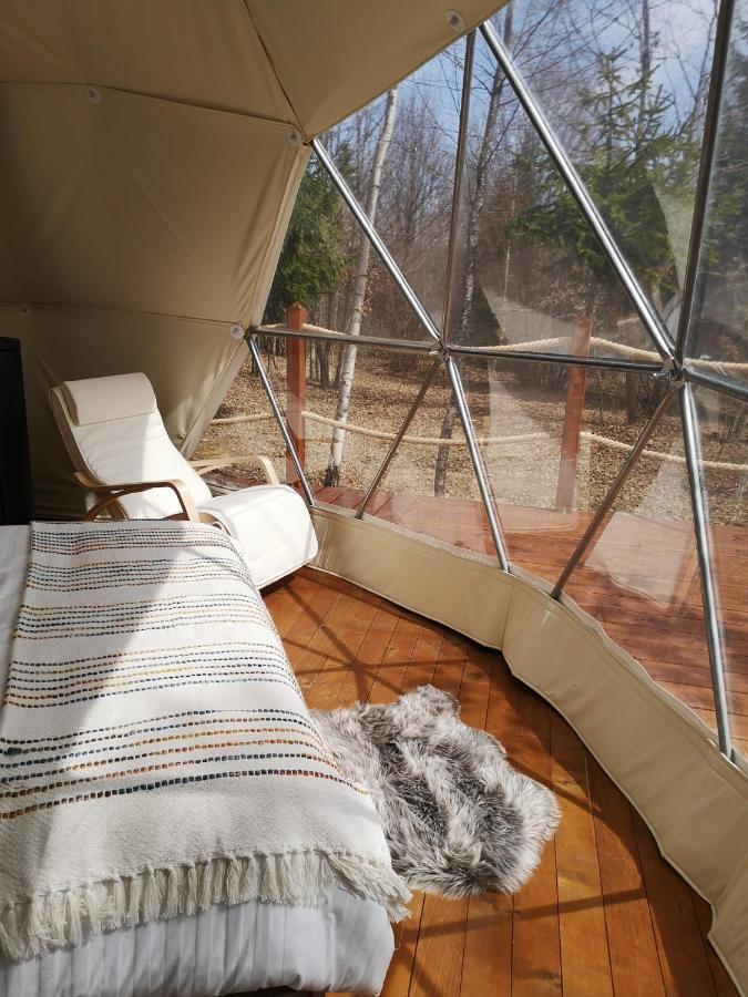 Hotel Medve Dome - Luxury Camping In The Middle Of Nature Vlahita Exteriér fotografie