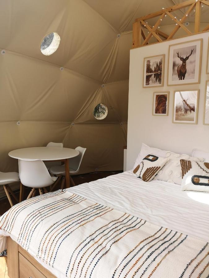Hotel Medve Dome - Luxury Camping In The Middle Of Nature Vlahita Exteriér fotografie