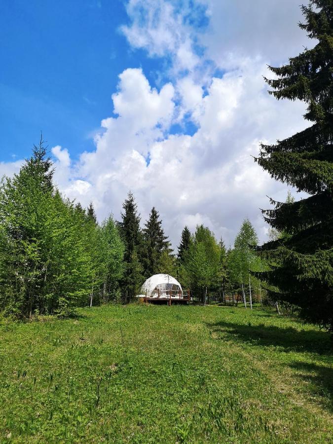 Hotel Medve Dome - Luxury Camping In The Middle Of Nature Vlahita Exteriér fotografie