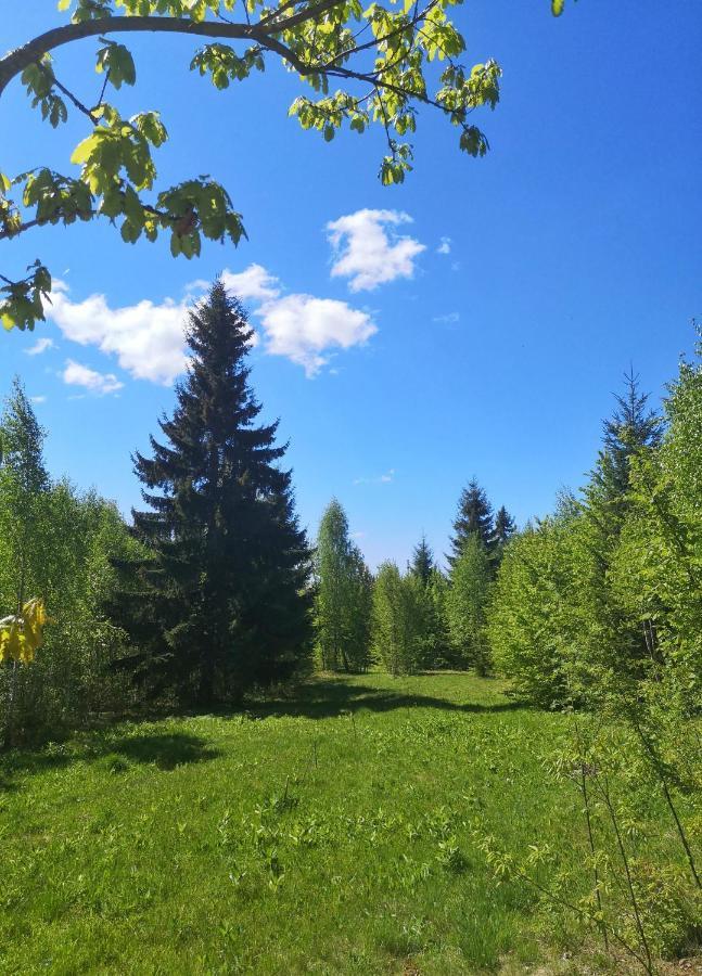Hotel Medve Dome - Luxury Camping In The Middle Of Nature Vlahita Exteriér fotografie