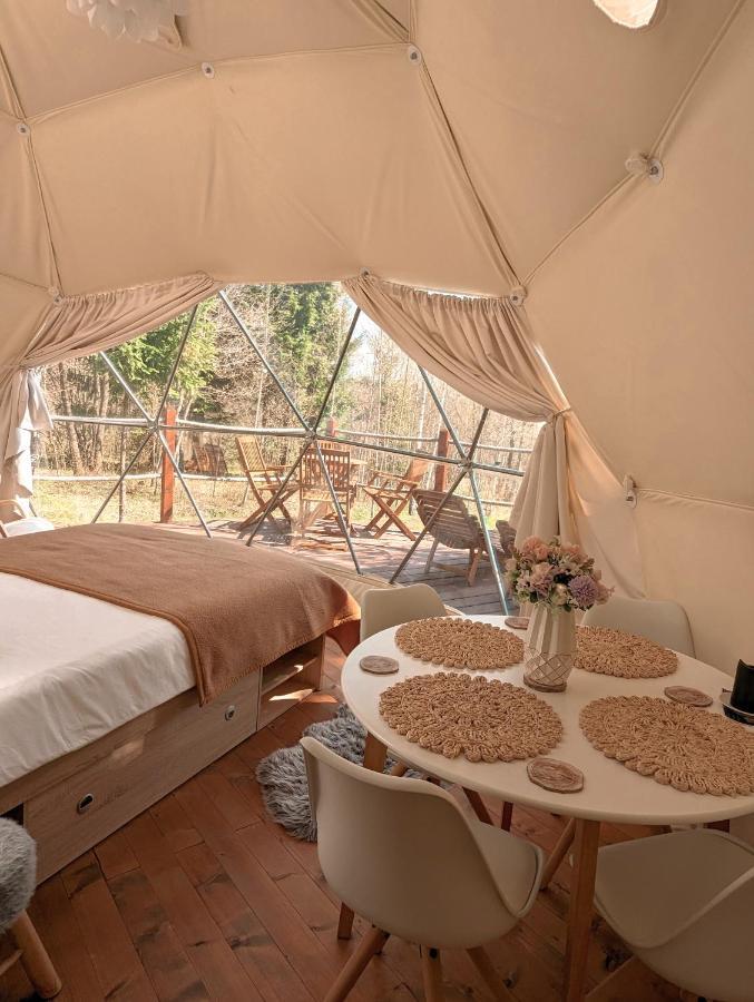 Hotel Medve Dome - Luxury Camping In The Middle Of Nature Vlahita Exteriér fotografie