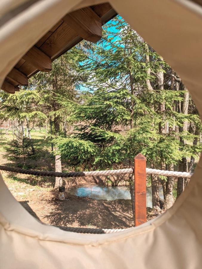 Hotel Medve Dome - Luxury Camping In The Middle Of Nature Vlahita Exteriér fotografie